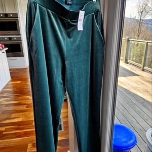 LOFT ANN TAYLOR Medium velour pull on pants, side pockets, rich green